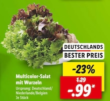 Multicolor-Salat mit Wurzeln Angebot in Geesthacht im aktuellen Prospekt bei Lidl in Geesthacht