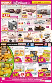 Pizza Angebote im Prospekt "Votre Discounter Régional" von Norma Pizza Angebote im Prospekt "Votre Discounter Régional" von Norma auf Seite 10