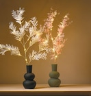 LED-Zweig von Nord im aktuellen Netto mit dem Scottie Prospekt für 6,00 €