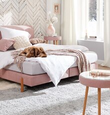 Boxspringbett bei Höffner in Fürth Boxspringbett im Angebot bei Höffner Fürth für 999,00 €