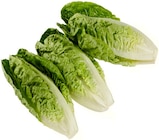 Aktuelles Romana Salatherzen Angebot bei REWE in Mönchengladbach ab 0,99 €