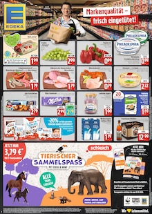 Fisch im EDEKA Prospekt "APP in den Ofen –
Genuss zum Tiefpreis!" mit 1 Seiten (München)