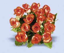 Casino Supermarchés Thionville sur Opton - Bouquet de 15 roses Promo Bouquet de 15 roses dans le catalogue Casino Supermarchés "Maxi Pâques" à Thionville sur Opton