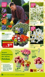 Sträucher im Pflanzen Kölle Prospekt "Genuss im Frühlingsgarten!" auf Seite 2