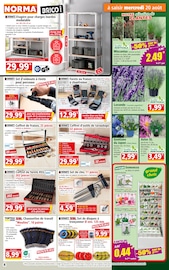 Vêtements Angebote im Prospekt "Votre Discounter Régional" von Norma auf Seite 4