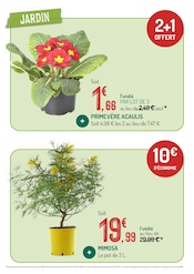 Plante Verte Angebote im Prospekt "LES OFFRES DU MOMENT À NE PAS MANQUER" von Botanic auf Seite 6