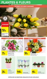 Fleurs Artificielles en promo dans le catalogue Carrefour à la page 67