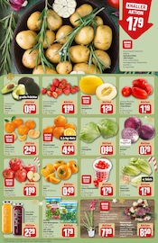 Pflanzen im REWE Prospekt in Marl Aktueller REWE Prospekt mit Pflanzen, "Dein Markt", Seite 4