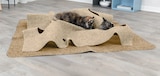 Katzenspielzeug von Trixie im aktuellen Fressnapf Prospekt für 39,99 €