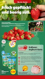 Rindergulasch Angebot & Preis im aktuellen Penny Prospekt Rindergulasch Angebot im aktuellen Penny Prospekt auf Seite 6