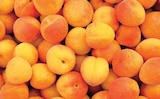 Norma Uckange - Promo Abricots spécial confiture Promo Abricots spécial confiture à 6,99 € dans le catalogue Norma à Uckange