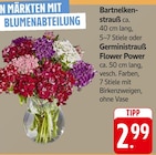 EDEKA Lambertsberg - Bartnelkenstrauß oder Gerministrauß Flower Power Angebot im Prospekt Bartnelkenstrauß oder Gerministrauß Flower Power bei EDEKA im Lambertsberg Prospekt für 2,99 €