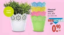 Pflanztopf PASTEL bei Trends in Bonn Pflanztopf PASTEL im Angebot bei Trends Bonn für 0,90 €