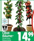Obst-Bäume Angebote bei Wreesmann Cuxhaven für 14,99 €
