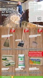 Aktueller Raiffeisenmarkt Prospekt mit Gartengeräte, "Richtig durchstarten: Mit den richtigen Angeboten ins neue Jahr.", Seite 7