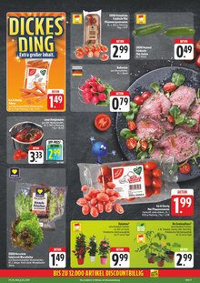 Pflanzen im E center Prospekt "Wir lieben Lebensmittel!" mit 28 Seiten (Jena)