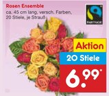 Rosen Ensemble Angebote bei Netto Marken-Discount Delmenhorst für 6,99 €