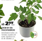 FRUCHTGEMÜSE im Angebot bei OBI in Saarbrücken FRUCHTGEMÜSE Angebote von GROW BY OBI bei OBI Saarbrücken für 2,99 €