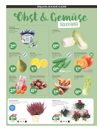V-Markt Heidelbeeren im Prospekt 