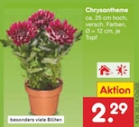Aktuelle Blumen Angebote bei Netto Marken-Discount in Nürnberg Aktuelles Chrysantheme Angebot bei Netto Marken-Discount in Nürnberg ab 2,29 €