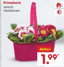 Primelkorb bei Netto Marken-Discount in Pforzheim Primelkorb im Angebot bei Netto Marken-Discount Pforzheim für 1,99 €