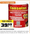 Wetterschutzfarbe Angebote von Consolan bei OBI Filderstadt für 39,99 €