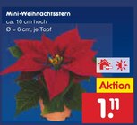 Mini-Weihnachtsstern im Angebot bei Netto Marken-Discount in Ingolstadt Mini-Weihnachtsstern Angebote bei Netto Marken-Discount Ingolstadt für 1,11 €