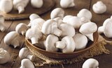 REWE Bad Zwischenahn - Weiße Champignons Angebot im Prospekt Weiße Champignons bei REWE im Bad Zwischenahn Prospekt für 1,59 €
