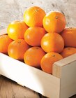 Promo Mandarine Nadorcott à 2,49 € dans le catalogue Intermarché Contact à Montpellier