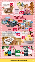 Gesellschaftsspiele Angebot & Preis im aktuellen Netto mit dem Scottie Prospekt Gesellschaftsspiele Angebot im aktuellen Netto mit dem Scottie Prospekt auf Seite 25