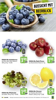 Gemüse im E center Prospekt "Aktuelle Angebote" mit 66 Seiten (Offenbach (Main))
