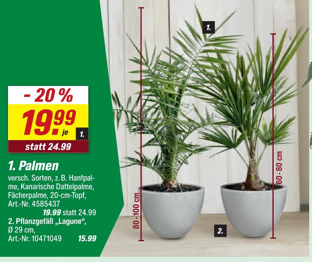 blumenkasten elho flower bridge Elho Balkonkasten Corsica flower bridge rund anthrazit - Auentopf kaufen