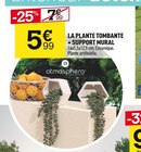 LA PLANTE TOMBANTE + SUPPORT MURAL - atmosphera en promo chez Centrakor Montreuil à 5,99 €
