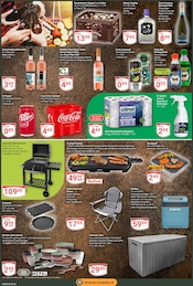 Aktueller GLOBUS Prospekt mit Coca Cola, "Aktuelle Angebote", Seite 5