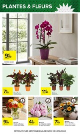 Orchidée en promo dans le catalogue Carrefour à la page 30