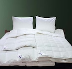 Oreiller en duvet - Billerbeck en promo chez Möbel Martin Thionville à 49,99 €