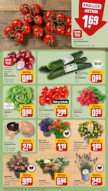 Sonnenblumenkerne im REWE Prospekt in Maintal Aktueller REWE Prospekt mit Sonnenblumenkerne, "Dein Markt", Seite 9