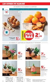 Orchidée Angebote im Prospekt "Super U" von Super U auf Seite 32