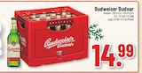 Budweiser Budvar bei Trinkgut im Bedburg Prospekt für 14,99 €