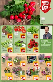 Ähnliche Angebote wie Heckenpflanzen im Prospekt "Dein Markt" auf Seite 7 von REWE in Hamburg