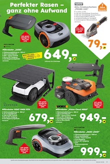 Pflanzen Angebot im Globus-Baumarkt Prospekt, gültig von 22.03.2026 bis 28.03.2026 Pflanzen Angebot im aktuellen Globus-Baumarkt Prospekt auf Seite 3