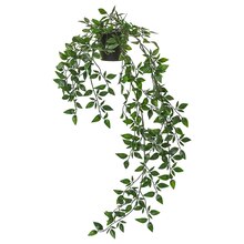 IKEA Lahstedt - Topfpflanze, künstlich drinnen/draußen/hängend Topfpflanze, künstlich drinnen/draußen/hängend Angebot bei IKEA Lahstedt im Prospekt "Zeit für mehr Weihnachtsstimmung"