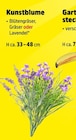 Aktuelles Kunstblume Angebot bei Thomas Philipps in Augsburg ab 1,00 €