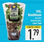 XXL Basilikum von  im aktuellen EDEKA Prospekt für 1,79 €