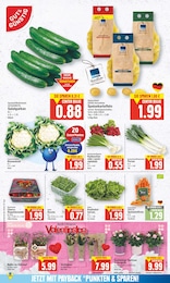 Rucola Angebot im aktuellen E center Prospekt auf Seite 6