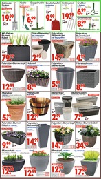 Wreesmann Pflanzschale im Prospekt 