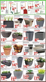 Spaten im Wreesmann Prospekt in Zwickau Aktueller Wreesmann Prospekt mit Spaten, "DEIN SAISON- & SONDERPOSTENMARKT!", Seite 3