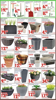 Blumenkasten im Wreesmann Prospekt "DEIN SAISON- & SONDERPOSTENMARKT!" mit 12 Seiten (Dresden)