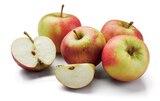 Pomme - Lidl à Clermont-Ferrand Pomme en promo chez Lidl Clermont-Ferrand à 0,99 €