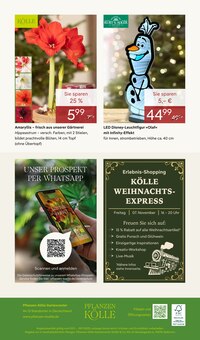 LED-Lampe im aktuellen Pflanzen Kölle Prospekt (München) LED-Lampe im Pflanzen Kölle Prospekt "WINTERZAUBER ERLEBEN" mit 20 Seiten (München)
